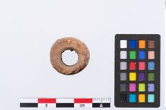 Foto von Beintülle (NHMW-PRAE-002297)